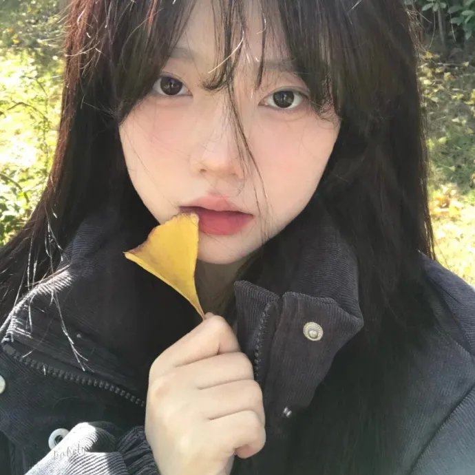 生命之书